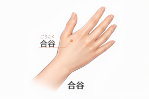 手の甲にある合谷のツボの位置を示したイラスト|ストレスや食べ過ぎを抑えるときに使われるツボ